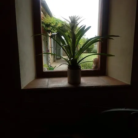 Nocleg ze śniadaniem Giardino Luchetti Città della Pieve