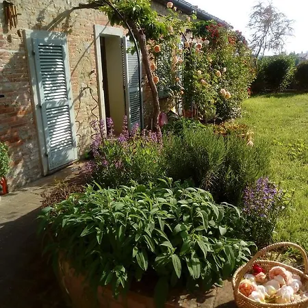 Giardino Luchetti Nocleg ze śniadaniem Città della Pieve
